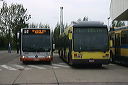 img_5831