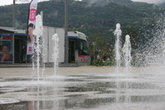 IMG_8220.JPG