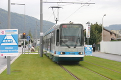 IMG_8240.JPG