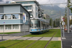 IMG_8255.JPG