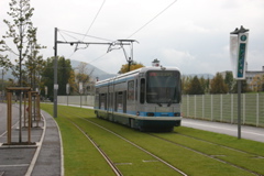 IMG_8256.JPG