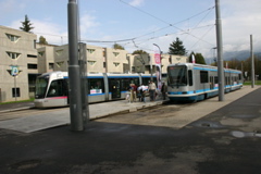 IMG_8264.JPG