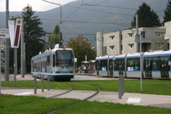 IMG_8282.JPG