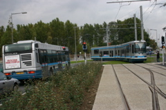 IMG_8295.JPG