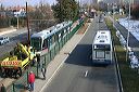 img_1241