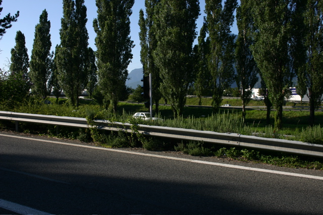 IMG_7447.JPG