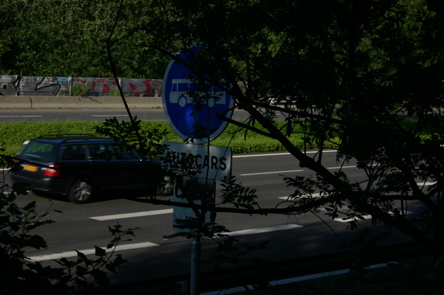 IMG_7472.JPG