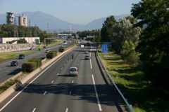 IMG_7428.JPG