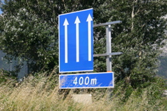 IMG_7430.JPG