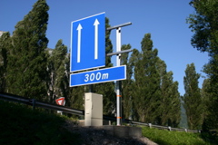 IMG_7445.JPG