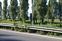 IMG_7449.JPG