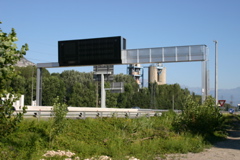 IMG_7431.JPG