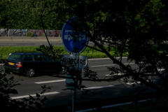 IMG_7472.JPG